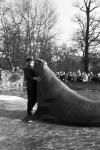 Berlin 1968 - Zoologischer Garten