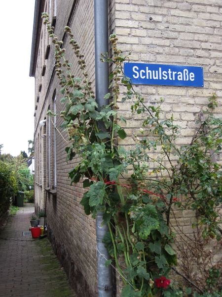 Arnis - Alte Schule - Foto: Runa Borkenstein (22.09..2013)