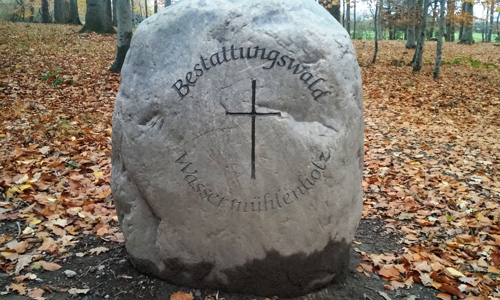 Bestattungswald Wassermühlenholz - Foto: Michaela Fiering (11.11.2018)