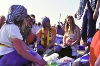 Roskilde Festival 1977
